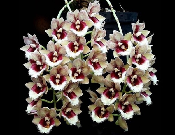 画像の説明 画像の説明