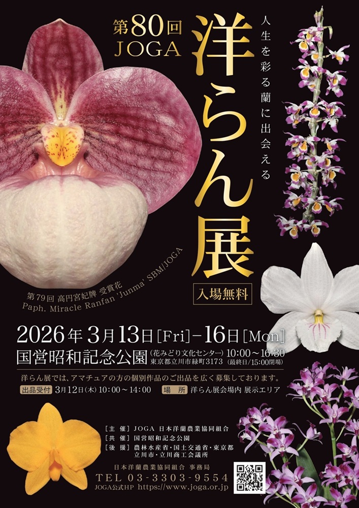 第80回 JOGA洋らんチラシ1000 第80回 JOGA洋らんチラシ1000